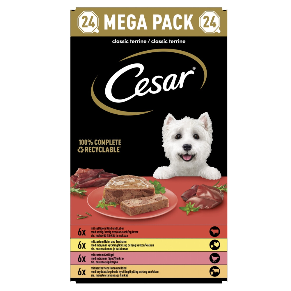 Cesar Alu Hondenvoer Multi-pack Kuipje Classic in Pate 24 x 150 gr