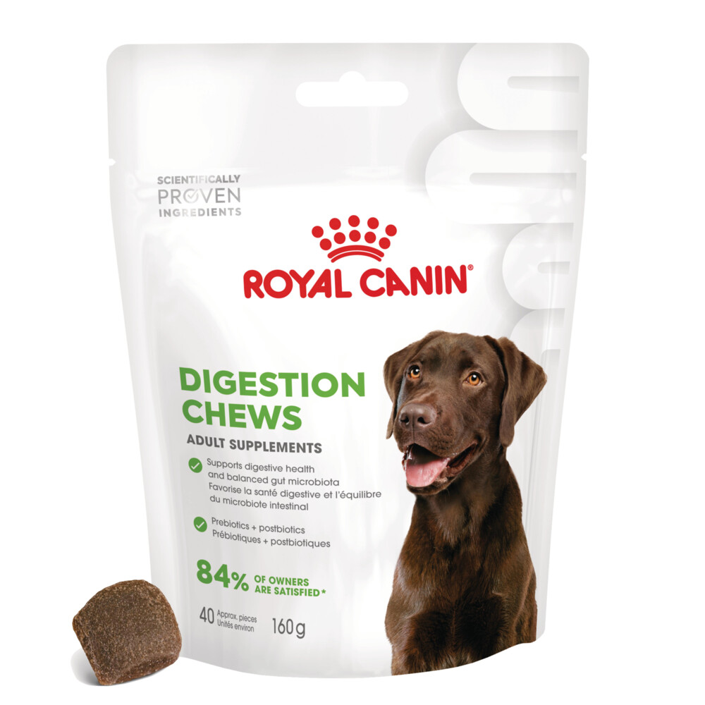 6x Royal Canin Supplement Digestion 160 gr